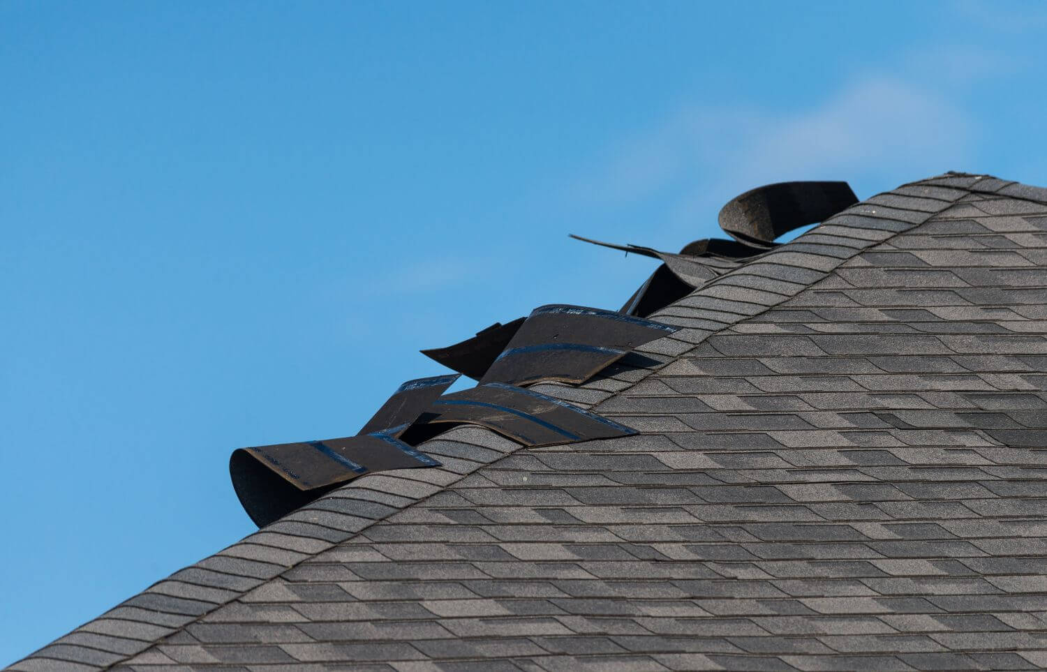 Wind Damaged Roof: Know What it is and How to Spot It