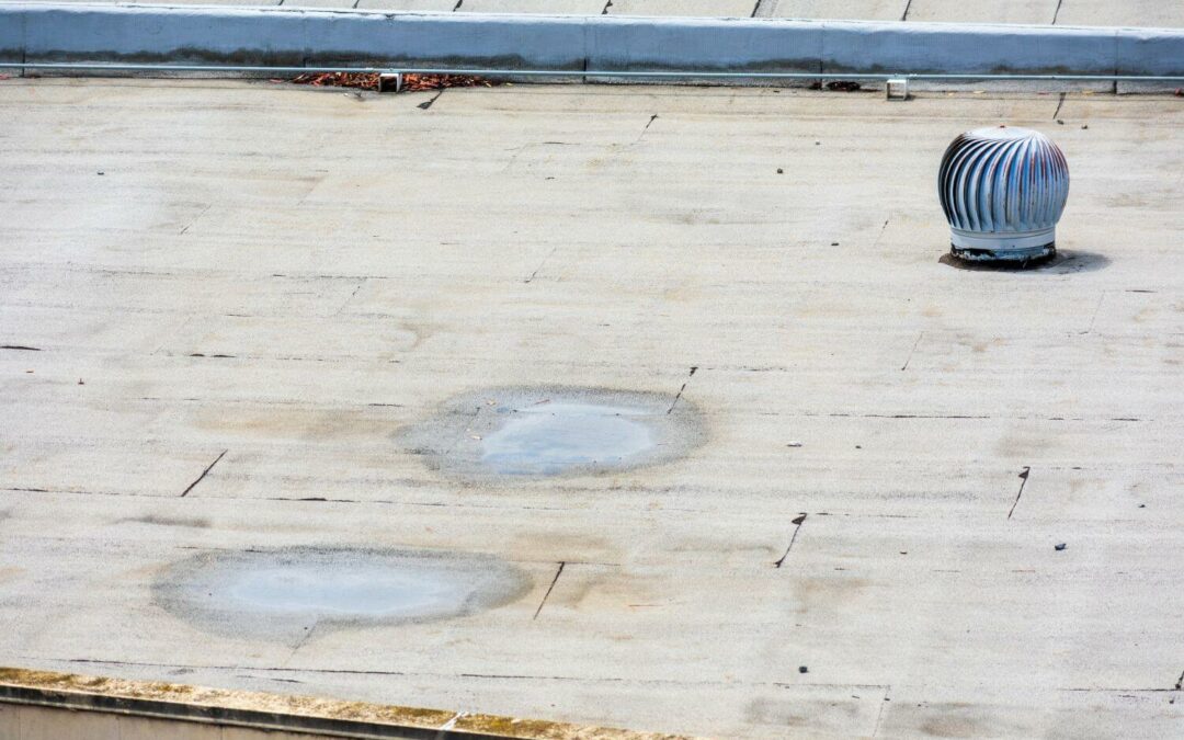 5 Damage Signs That It’s Time To Replace Your Commercial Roof