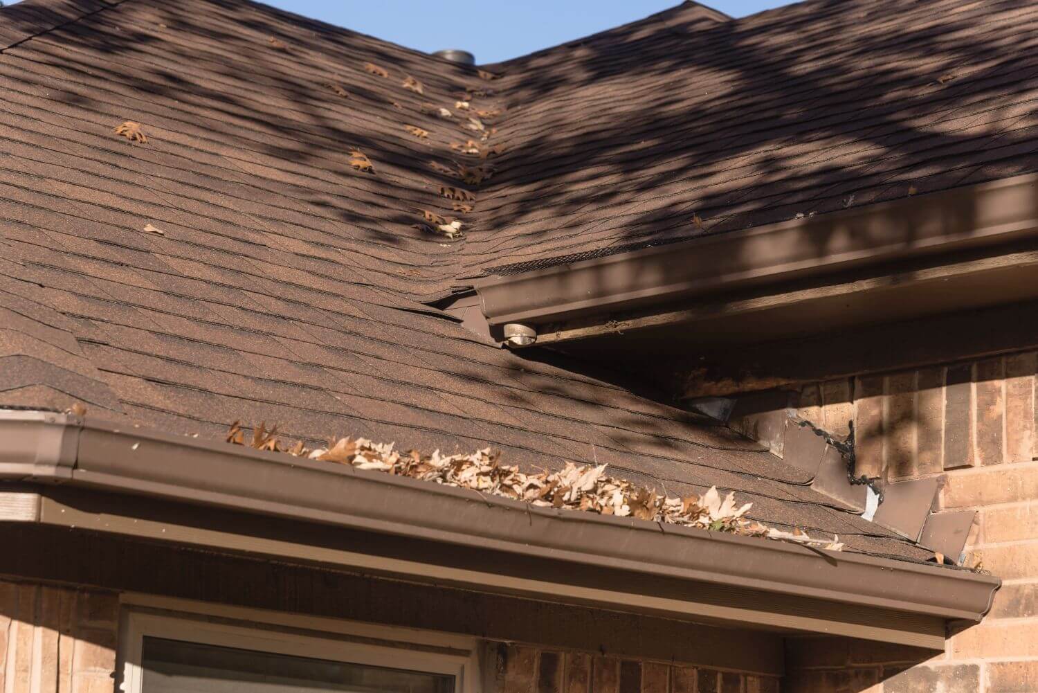 rain gutter cleaning