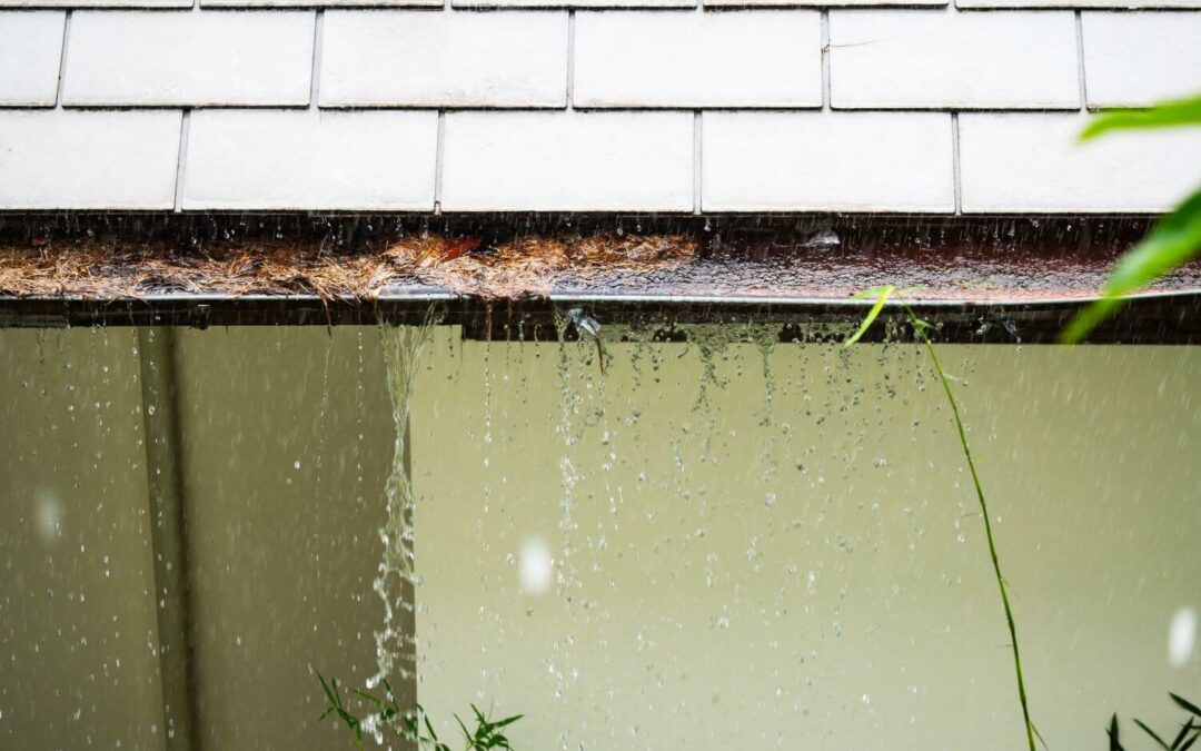 7 Problems That Result From Not Cleaning Gutters