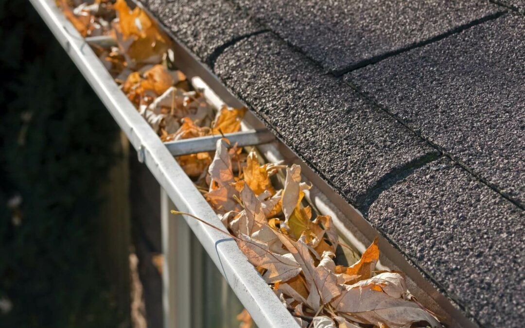 What to Expect From a Professional Gutter Cleaning