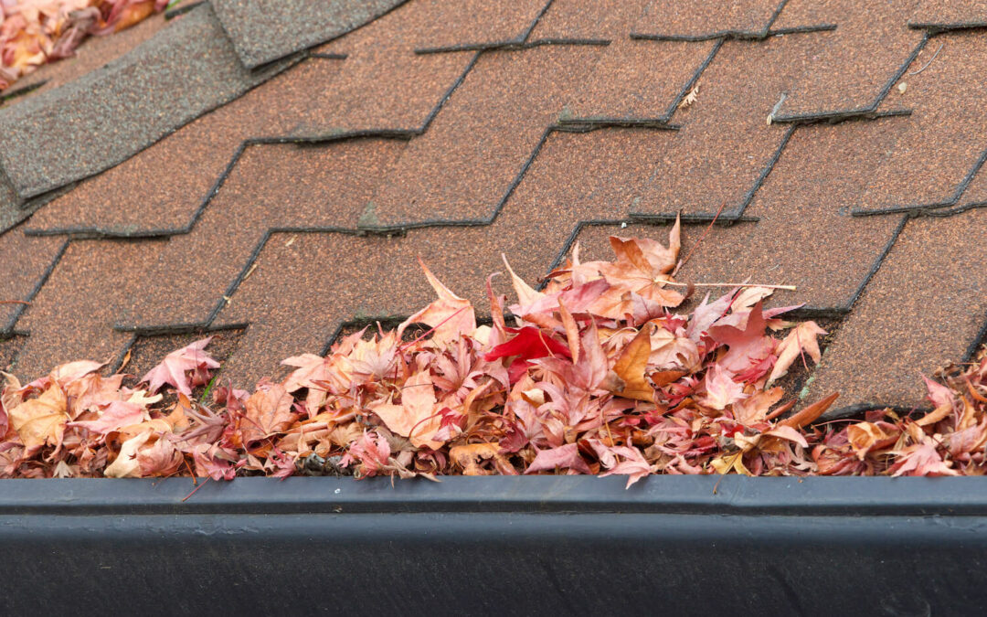 From Leaves to Leaks: Tackling Fall Roofing Challenges