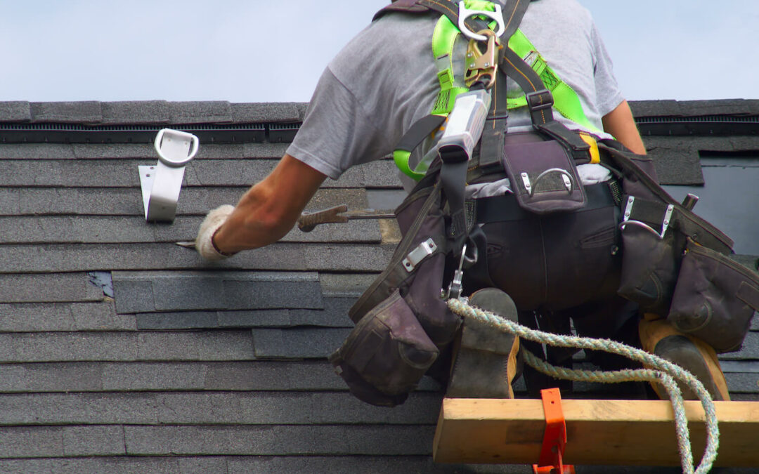 How Professional Roof Maintenance Can Pay for Itself home color