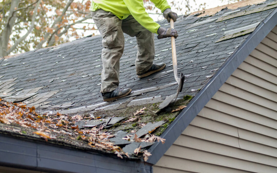 Moss, Mold, and Meltdowns: The Cost of Neglecting Roof Maintenance