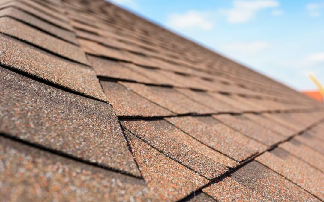 How Roof Replacements Actually Save You Money In The Long Run solar