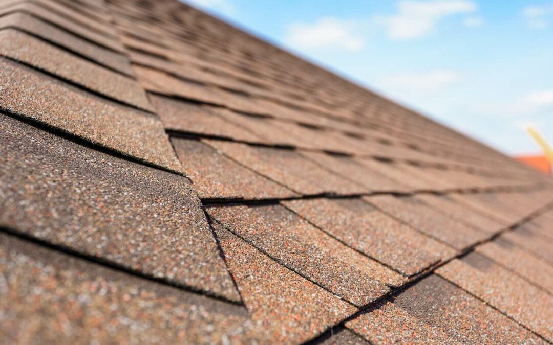 Roofing Company Coffs Harbour