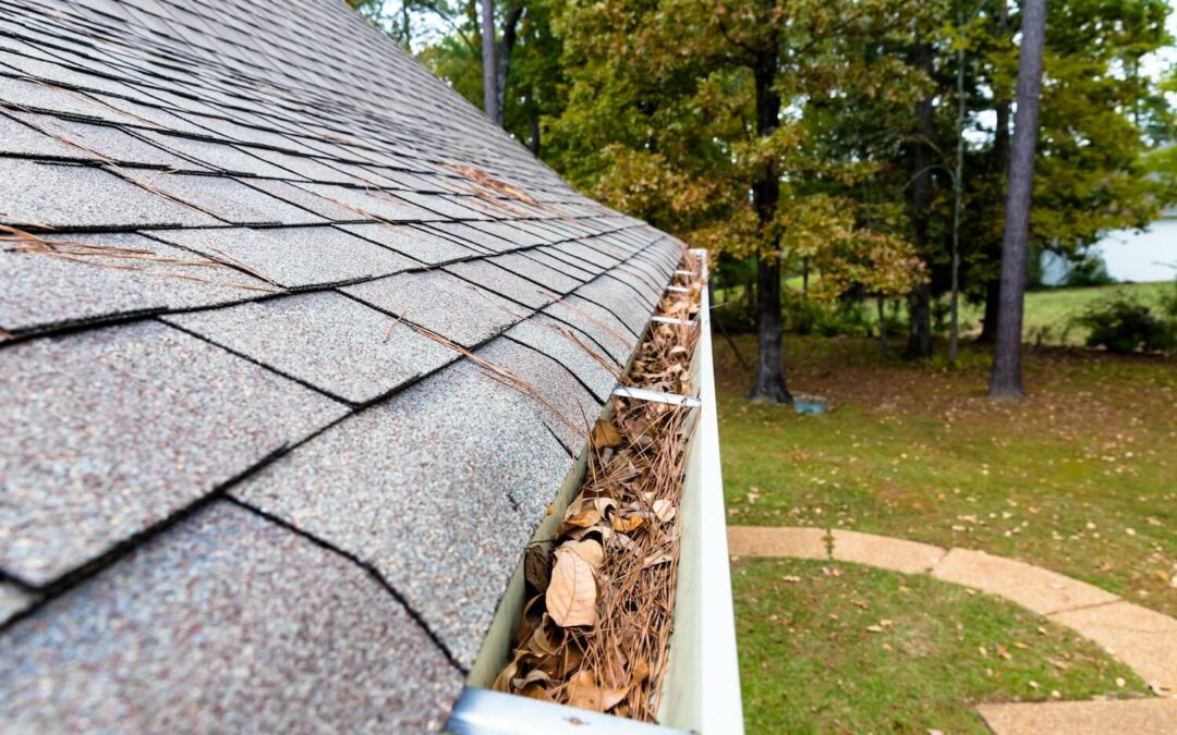 The Importance of Roofing Inspections: How Regular Service Checks Save You Money