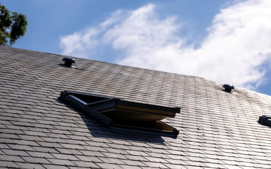 How Do Sun Rays Harm Your Roof? And What Can You Do to Avoid UV Damage?