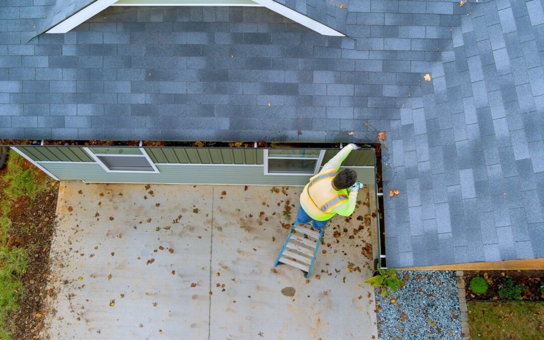 Why You Should Consider Having Your Gutters Cleaned Professionally gutter cleaning benefits clean